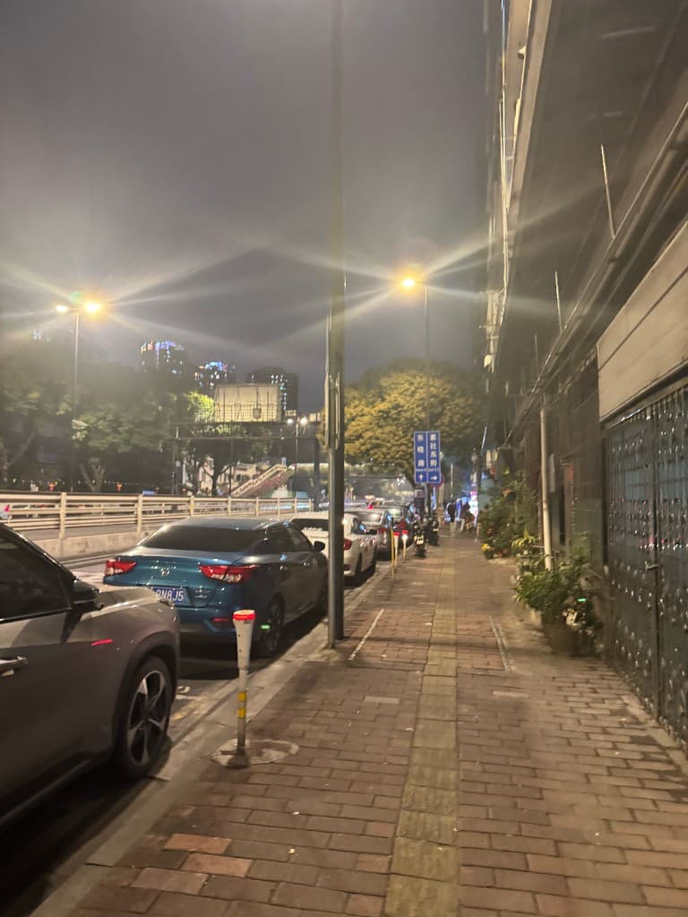 夜晚仲恺路一带，砖砌人行道、路灯与路边停放的车辆