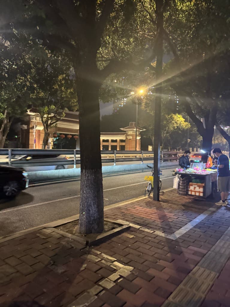 夜晚街边小摊，路灯下树影与远处的门楼，路人驻足
